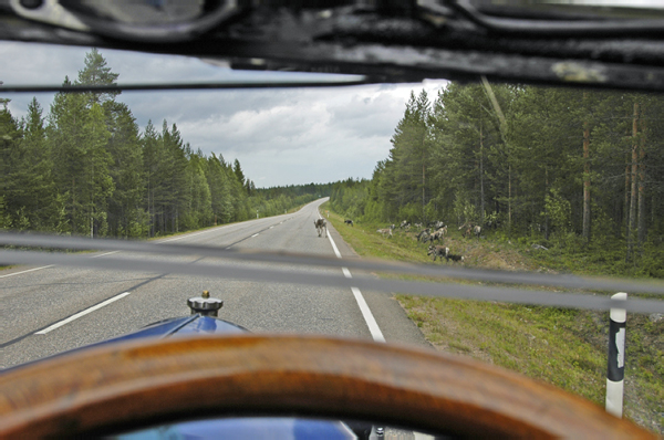 Route boreale 018